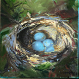 Safe in Our Nests - Blue Eggs in Nest