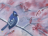 Blue Jay and Berries