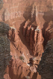 Bryce Canyon III Posters, Prints, & Visual Artwork Jonathon Shumaker 