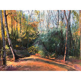 October Light at the Stream Painting Alleen Blesi Manning 